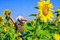 rich harvest and agriculture. happy childhood. kid wear straw summer hat. child in field of yellow flowers. teen girl in Royalty Free Stock Photo