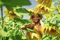 rich harvest and agriculture. happy childhood. kid wear straw summer hat. child in field of yellow flowers. teen girl in Royalty Free Stock Photo