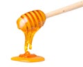 Rich honey slowly dripping from the honey spoon dipper isolated