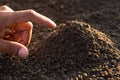 Rich loamy soil is ideal for planting trees. and a man's hand was gently touching
