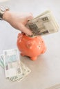 Rich man from Poland. Hand with silver watch putting a lot of polish money into a piggy bank. Royalty Free Stock Photo