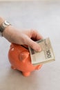 A rich man from Poland. Hand with silver watch putting a lot of polish money into a piggy bank. Royalty Free Stock Photo