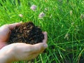 Rich Mulch Royalty Free Stock Photo