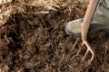 Rich organic mulch