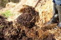 Rich organic mulch from manure and straw.