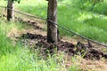 Rich organic mulch