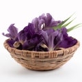 Rich Purple Iris in Bamboo Basket