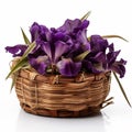 Rich Purple Iris in Bamboo Basket