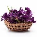 Rich Purple Iris in Bamboo Basket