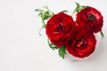 Rich red buttercup flowers in vase on soft white wooden table, top view. Elegance bouquet for modern interior.