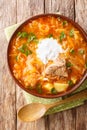 Rich Russian Shchi soup of sauerkraut beef vegetables close-up in a bowl. vertical top view