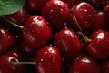 Rich scarlet cherries, a vibrant cluster of deep red sweetness