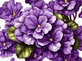 The rich and velvety purple petals of an African violet