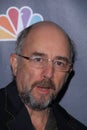 Richard Schiff Royalty Free Stock Photo