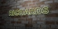 RICHARDS - Glowing Neon Sign on stonework wall - 3D rendered royalty free stock illustration