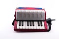 Richly colored small accordion toy