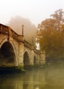 Richmond Bridge in Autumn Royalty Free Stock Photo