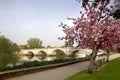 Richmond Bridge at Sunrise