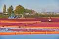 Richmond, British Columbia, Canada Ã¢â¬â October 26, 2017. Cranberry Harvest Flooded Field