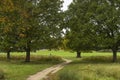 Richmond Park, Great Britan, October 14 2017 Royalty Free Stock Photo