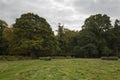 Richmond Park, Great Britan, October 14 2017