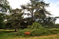 Richmond Park is the largest Royal Park and was created as a deer natural reserve