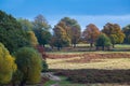 Richmond Park London England Royalty Free Stock Photo