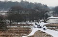 Richmond park in the snow Royalty Free Stock Photo