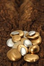 Gold Pebble contemplation of richness Royalty Free Stock Photo