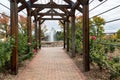 Rick Walkway Under Rose Trellis