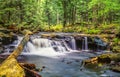 Ricketts Glen harbors Glens Natural Area