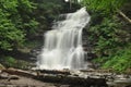 Ricketts Glen State Park Waterfall Royalty Free Stock Photo