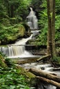 Ricketts Glen State Park Waterfall Royalty Free Stock Photo