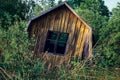 Rickety crumbling abandoned house overgrown with trees at russian countryside