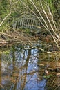 Rickety Footbridge in the Woods Royalty Free Stock Photo