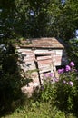 Rickety shed surrounded by flowers Royalty Free Stock Photo