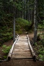 Rickety Wooden Bridge Over Ravine in Forest