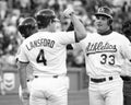 Rickey Henderson, Carney Lansford and Jose Canseco of the Oakland Athletics Royalty Free Stock Photo