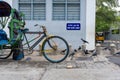 Rickshaw and crows eating some grain, Pondicherry, India