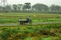 A Rickshaw Puller with his Cycle riding Vanon a village road amidst green field. Bardhaman West Bengal India South Asia Pacific