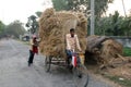 Rickshaw rider transports rice from the farm home