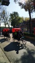 Rickshaws in Beijing Royalty Free Stock Photo
