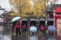 The rickshaws waiting for guests on the Confucius Temple market in the early winter and rainy days