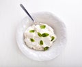 Ricotta Cheese with Fresh Mint Royalty Free Stock Photo