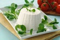 Ricotta cheese and valerian Royalty Free Stock Photo