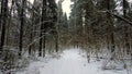 Ride by car on a beautiful winter forest road. An SUV paves its way in the winter forest.