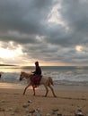 Ride horse on the beach Royalty Free Stock Photo