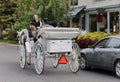 Ride in a white horse carriage Royalty Free Stock Photo