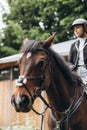 Rider in action on a dressage horse. An abstract shot of a horse during a competition Royalty Free Stock Photo