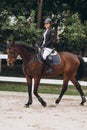 Rider in action on a dressage horse. An abstract shot of a horse during a competition Royalty Free Stock Photo